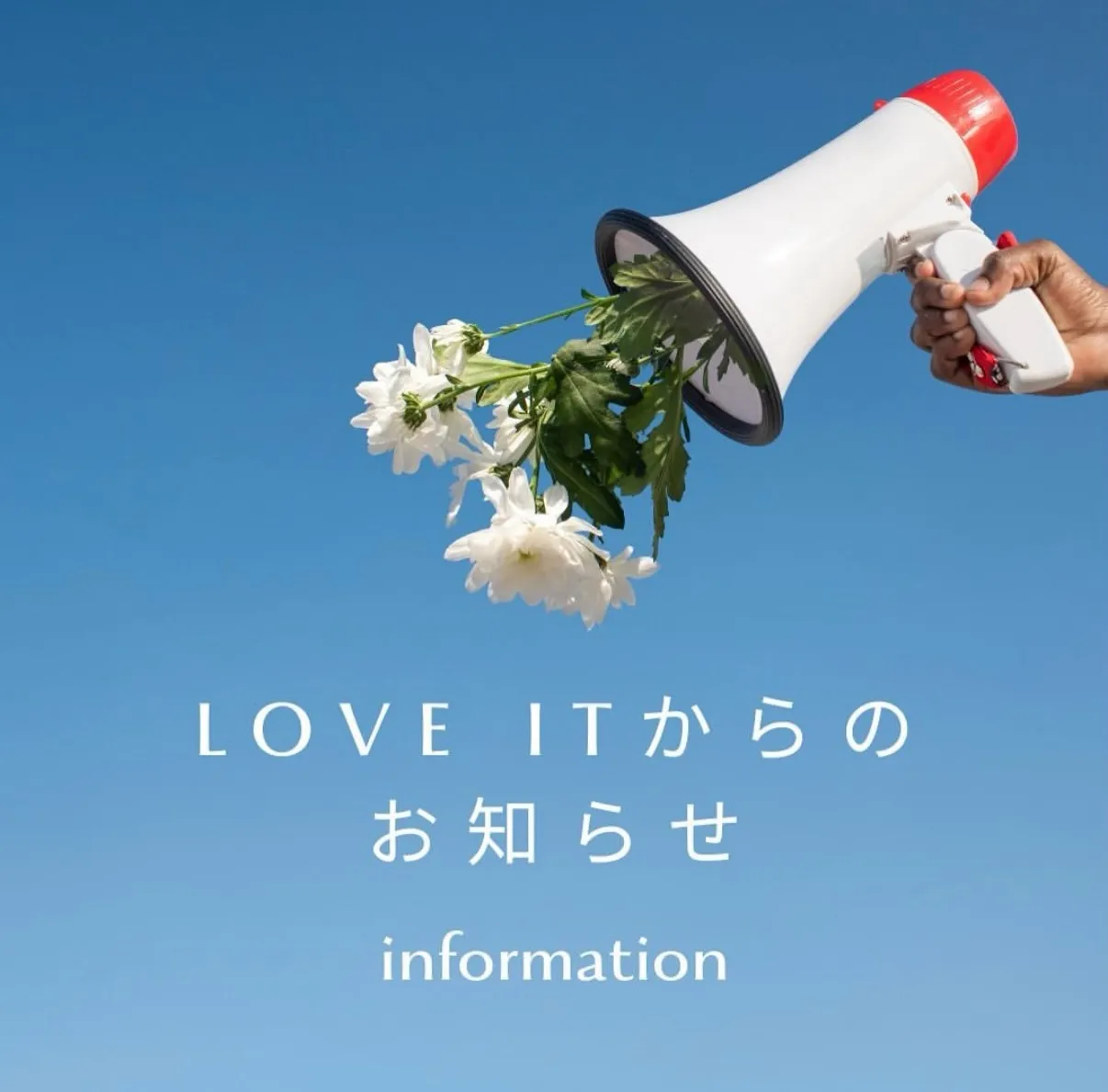 (recruit)詳しくはDMにて🐇